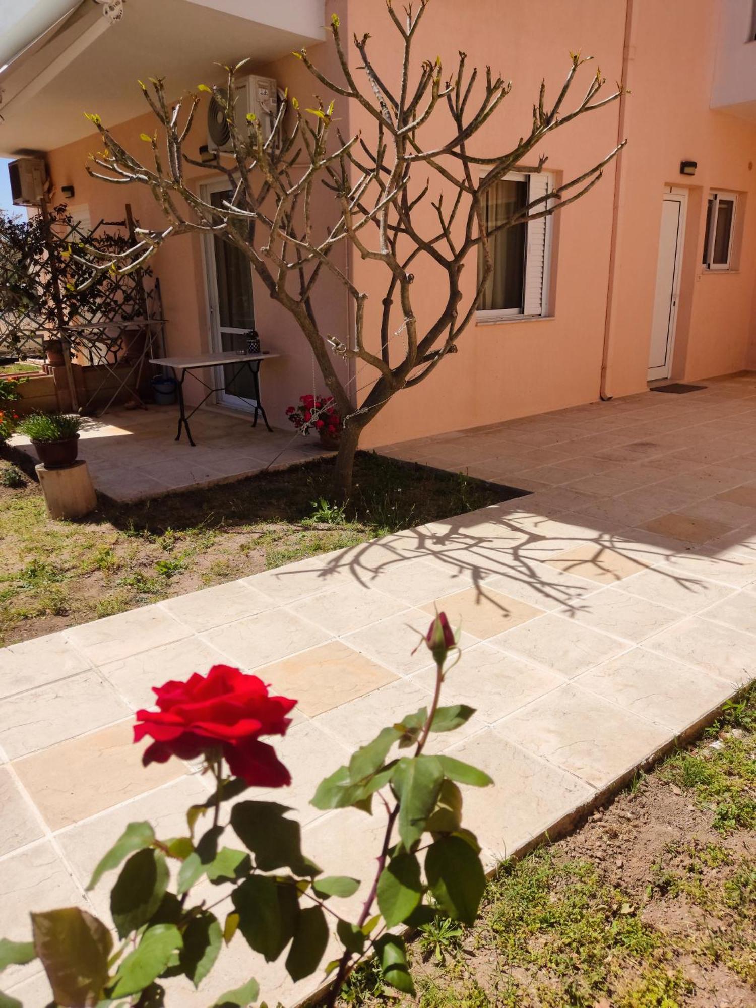 Kipos Apartament